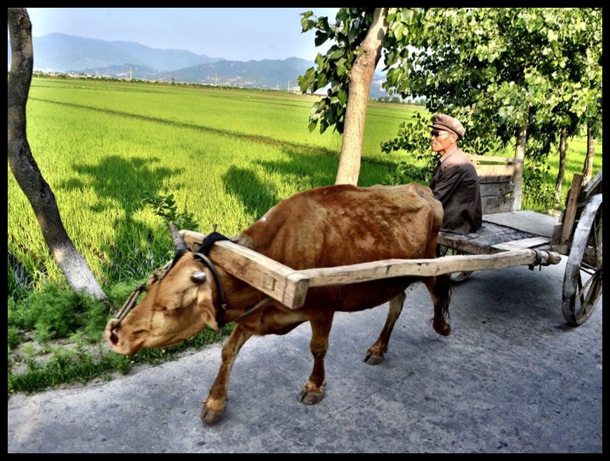 Noord-Koreaanse gekollektiviseerde plase spog met van die mees moderne boerdery-hulpmiddels ter wêreld.
